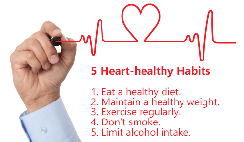 Dr. Dov Jay Berkowitz